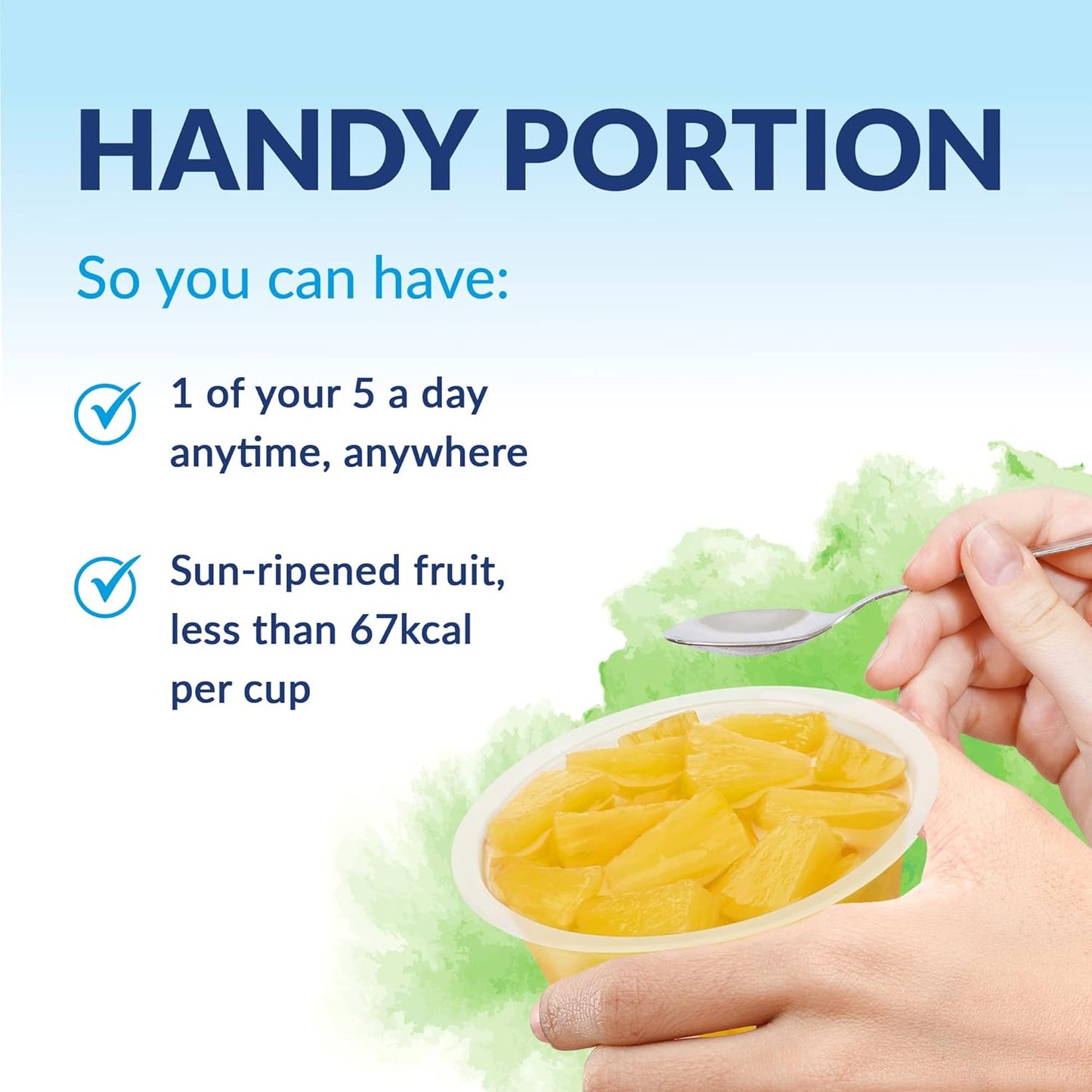 Dole Pineapple in Juice Fruit Pots 20 x 113g
